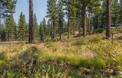 2412 Newhall Court, Truckee, CA 96161