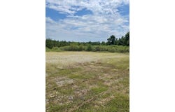 11339 FM 226, Etoile, TX 75961