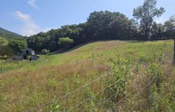 Tbd A P Carter Highway, Hiltons, VA 24258