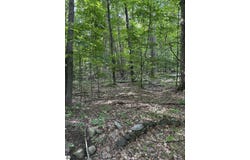 V/L Hansel Strause E, Bellaire, MI 49615