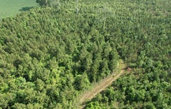 20Ac-TBD Highway 260, Manning, SC 29102