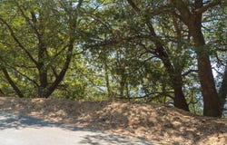 0 Chillon Drive, Crestline, CA 92325