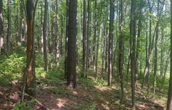 0 THORNTON GAP CHURCH ROAD, SPERRYVILLE, VA 22740
