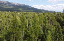 14537 Big Rock Way, Bigfork, MT 59911