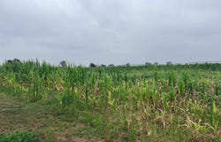 16.03 Acres Dennis Court, Prairie du Sac, WI 53578