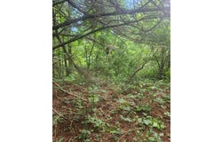 Lot 38 Hickory Hollow Ln, Copper Hill, VA 24079