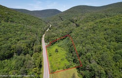 Tbd Route 42, Lexington, NY 12452