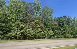 SPRINGVILLE BOULEVARD lot: 0, ONEONTA, AL 35121