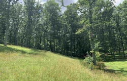 208 Heritage View Circle, Gurley, AL 35748