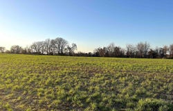 3615 WHITEVILLE-NEWCASTLE, Whiteville, TN 38075