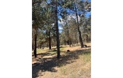Crossbill Drive, Klamath Falls, OR 97601