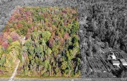 905 E M 61 Highway, Gladwin, MI 48624