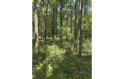 1084 Pickens Chapel, Letona, AR 72143