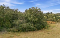 130th Avenue, Milaca, MN 56363