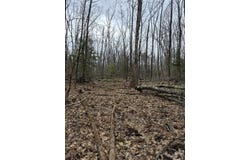 Crotty Drive, Rockingham, VT 05301