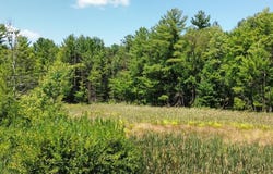 19.63 Ac Luedtke Road, La Valle, WI 53941