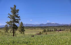 624/200 E Morning Glory Drive, Pagosa Springs, CO 81147