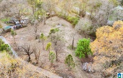 248 JONES ROAD lot: 1, MONTEVALLO, AL 35115