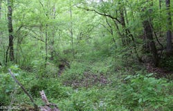 Leatherwood Rd, Sevierville, TN 37876