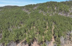 TBD Highway 375 East    (Lot 6), Mena, AR 71953