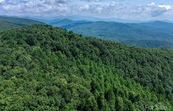 39.99 Acres Misty Dawn Cove unit: 5A & 13A, Hendersonville, NC 28792