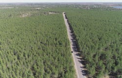Parcel 4 Rice Lake, Gwinn, MI 49841