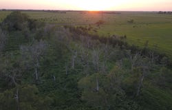 39494 165th St, Ashton, SD 57424