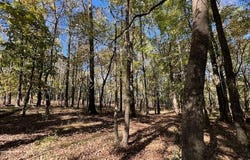 196 Deer Valley Circle, Broken Bow, OK 74728
