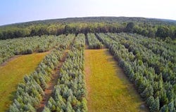Vl 8 Baseline Road, Shelby, MI 49455