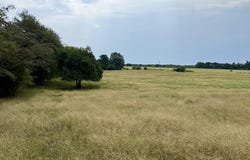 9 Acres County Road 670, Samson, AL 36477