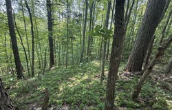 81 Happy Acres Road, Beattyville, KY 41311