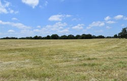 1731 FM 860, Palestine, TX 75803