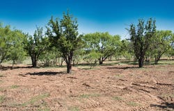 2303 Streeter Lane, Mason, TX 76856