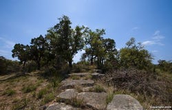 3934 Smithson Ridge, San Antonio, TX 78261