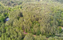 1953 Orrs Station Road, Chester, SC 29706