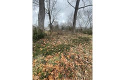 906 Elm Avenue, Mena, AR 71953