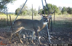 Tbd CR 382, Carlton, TX 76436