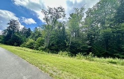 8 Silver Mountain, Snowshoe, WV 26209