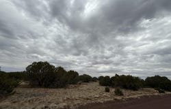 149 County Rd 8057, Concho, AZ 85924