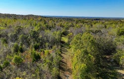 State Route 723, Salem, KY 42078