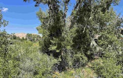 7 Crystal, Dubois, WY 82513