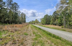 20 Sandy Point Road lot: 20, Scranton, NC 27875