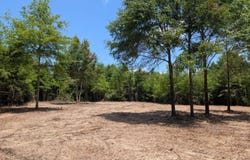 1 Unestablished Grimsley Road, Gordon, AL 36343