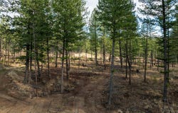 Basin Bend lot: 49, Eureka, MT 59917
