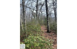 Jeb Stuart Hwy, Stuart, VA 24171