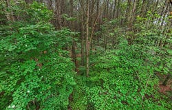 0 Crockett Point, Jasper, TN 37347
