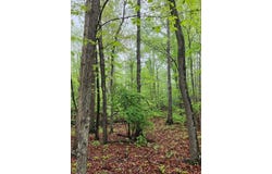 200 Salolee Circle, South Pittsburg, TN 37380