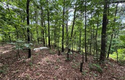 Tbd Harvey Drive, Dixon, MO 65459