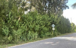 Arabella Lane, Cocoa, FL 32927