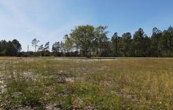 A State, Freeport, FL 32439